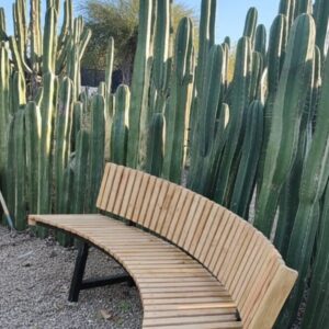 Banca Curva N°5 – Madera de Mesquite con Base Metálica
