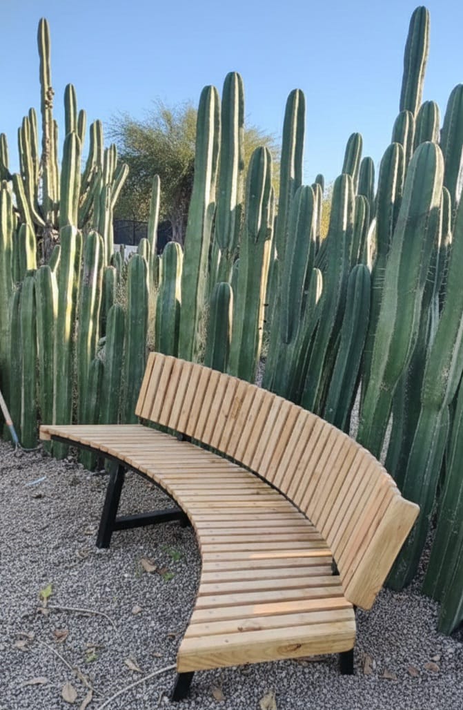Banca Curva N°5 – Madera de Mesquite con Base Metálica
