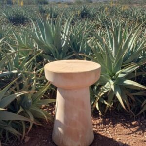 Mesa Hongo en Álamo