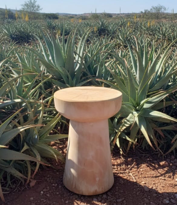 Mesa Hongo en Álamo